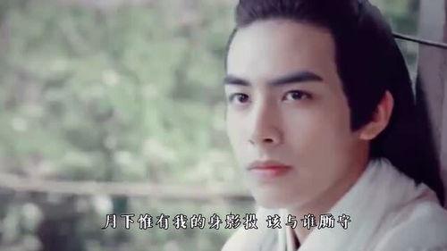 容止个人资料,翩翩公子，风华绝代，揭秘古代才子传奇人生