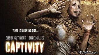 囚禁 演员表,揭开角色命运，探寻人性深渊