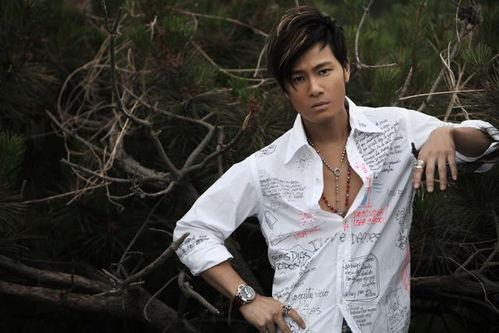 许绍洋图片,光影交织，演绎不凡人生