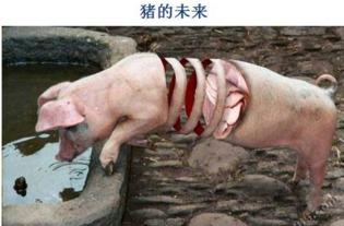 男人哭吧搞笑图片