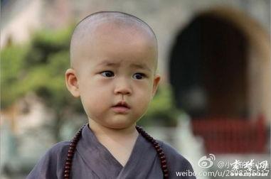 呆萌小和尚图片