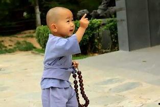 呆萌小和尚图片