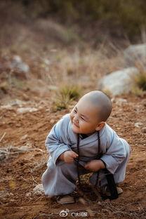 呆萌小和尚图片