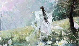 诗经的时代背景,周代风华与人文初探