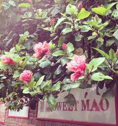 滕菲生活照,镜头下的生活瞬间