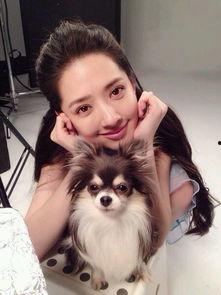 网红照片激萌,网红照片中的治愈系魅力”