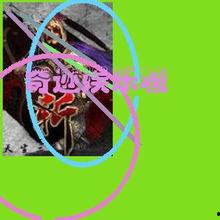 奇迹娱乐,打造娱乐新纪元，引领潮流风尚