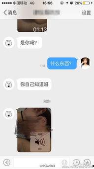 小鲜肉网红微博,青春风采与网络影响力
