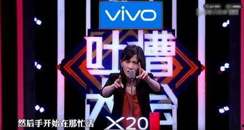 网红网络综艺节目,网络红人的崛起与娱乐产业的变革